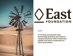 Sand Dunes in Texas East Foundation