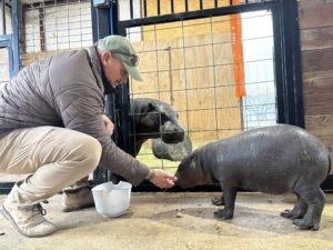 Pieter Human Swart || The Roundup with Capitol Ranch