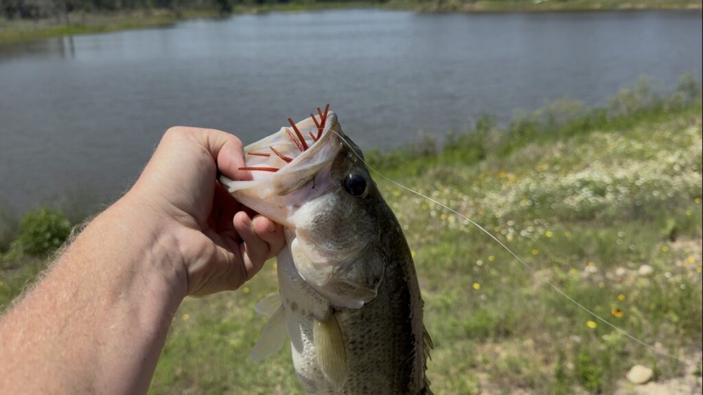10-acre private lake | Lee County, Texas | Giddings, Texas